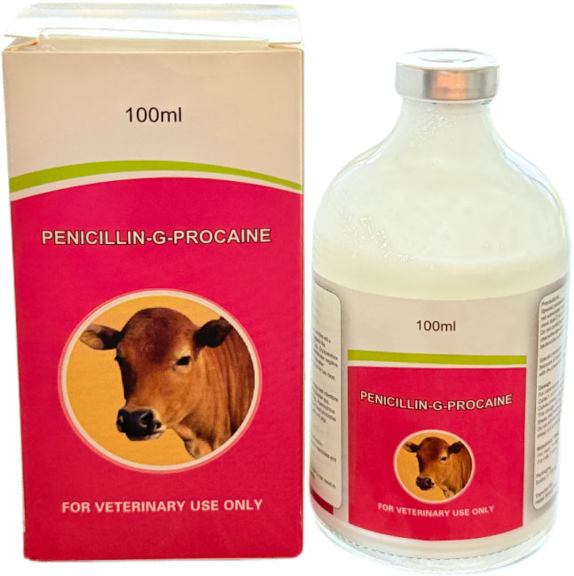 PROCAINE&nbsp;PENICILLIN&nbsp;G&nbsp;AND&nbsp;BENZATHINE&nbsp;PENICILLIN&nbsp;G&nbsp;