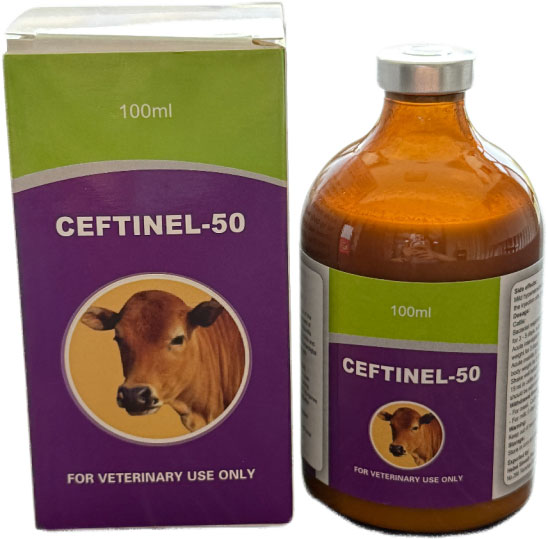 CEFTIOFUR&nbsp;INJECTION&nbsp;5%&nbsp;100ML