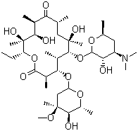 Macrolide Antibiotics Erythromycin