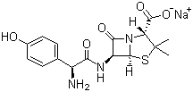 Penicillins Amoxicillin Sodium