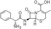 Cephalosporin Cephradine(Cefradine)
