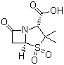 Penicillins Sulbactan Acid