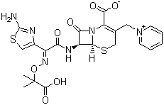 Cephalosporin Ceftazidime