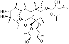 Macrolide Antibiotics Clarithromycin