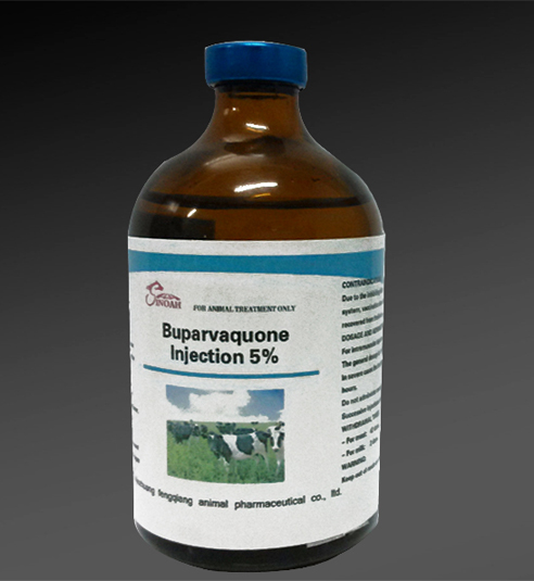 Liquid Injection Buparvaquone Injection 5%