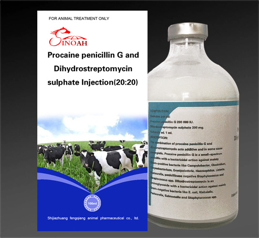 Liquid Injection Procaine penicillin G and Dihydro