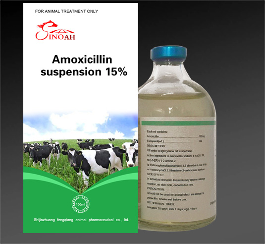 Liquid Injection Amoxicillin suspension 15%