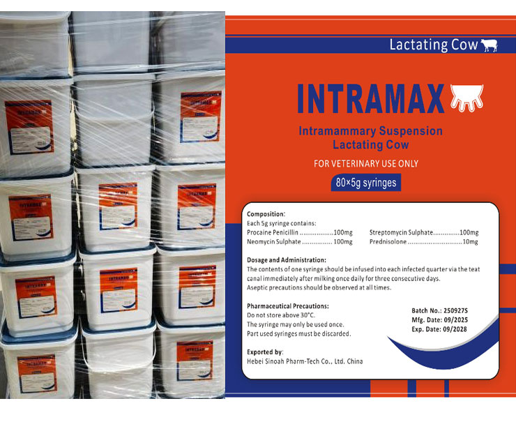 Intramammary Suspension 5g