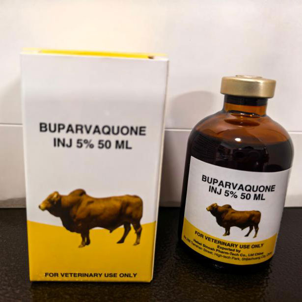Buparvaquone injection 5%