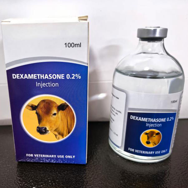 Dexamethasone 0.2% injection  100ml
